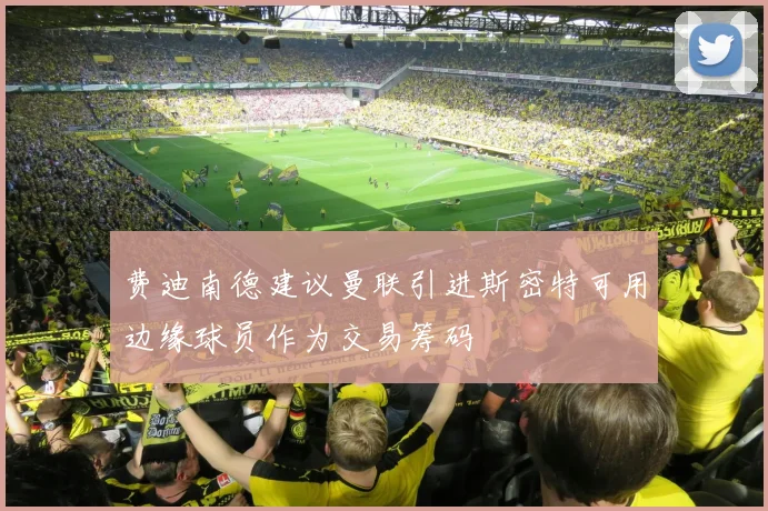 费迪南德建议曼联引进斯密特可用边缘球员作为交易筹码