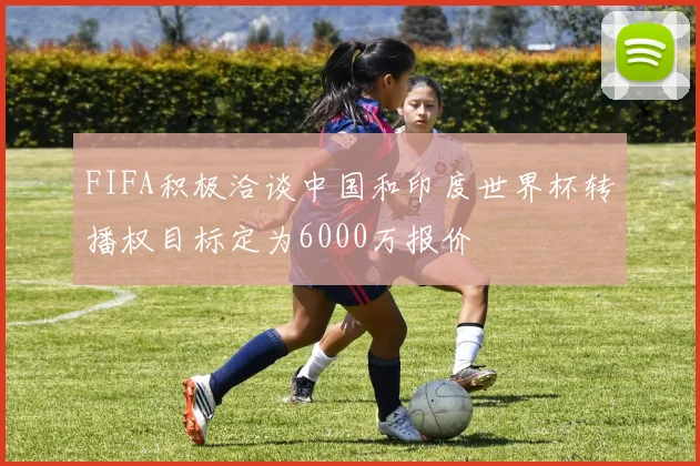 FIFA积极洽谈中国和印度世界杯转播权目标定为6000万报价